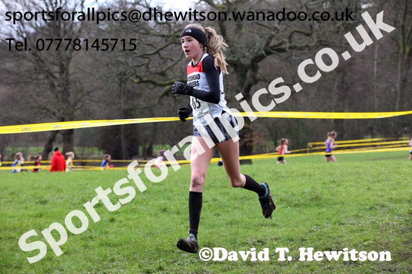 Girls under-15 Northern Cross Country Champs., Witton Park, Blackburn. Photo: David T. Hewitson/Sports for All Pics